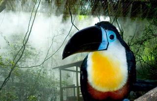 Birds of Eden: a fascinating experience in this free-flight sanctuary